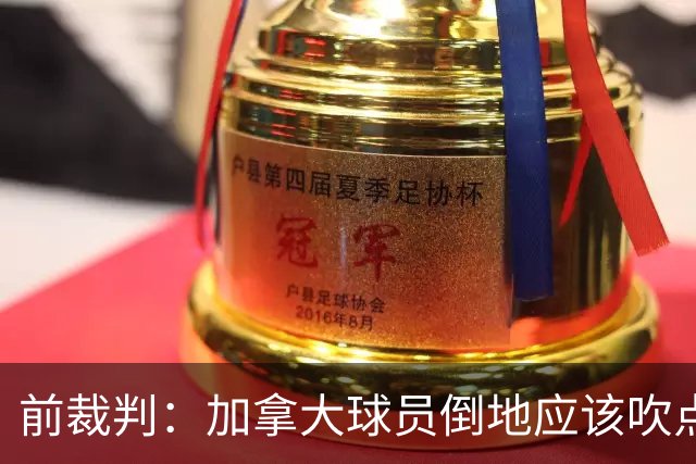 前裁判：加拿大球员倒地应该吹点球，VAR介不介入的标准不统一