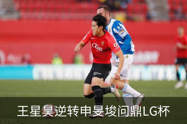 王星昊逆转申旻埈问鼎LG杯